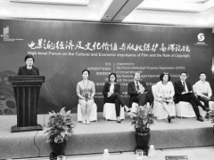 保護版權(quán)，等同保護電影生命